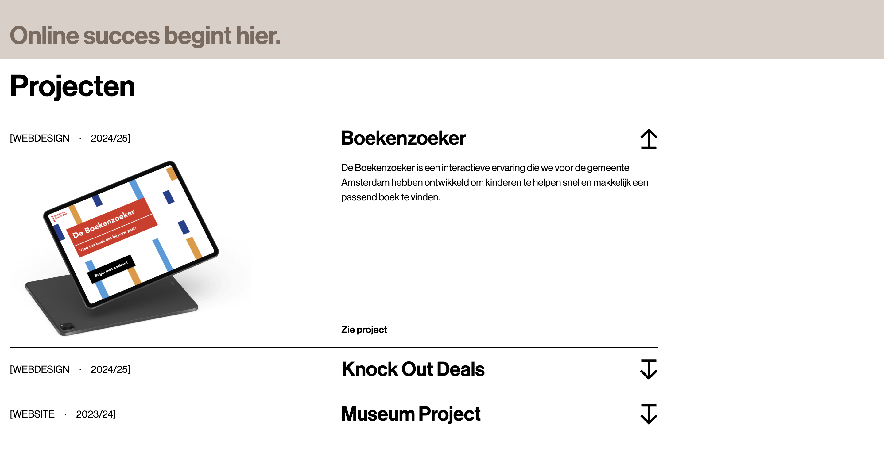 Projects section